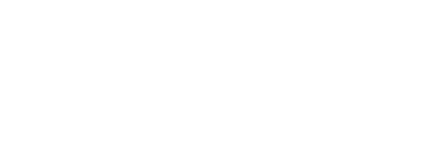 Robotic Minds